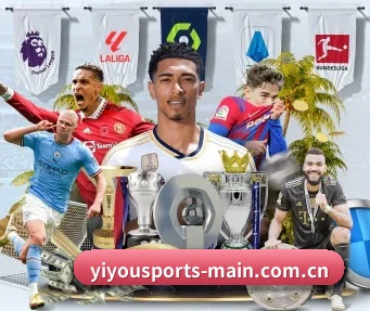 易游体育官网入口 APP(YYSports)
