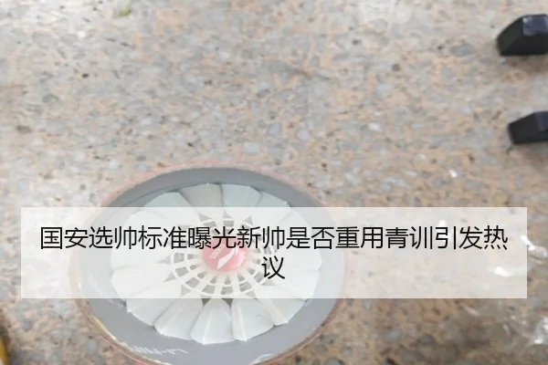 国安选帅标准曝光新帅是否重用青训引发热议(YYSports)